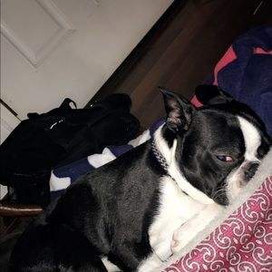 Meet your Posher, Julianna